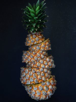 Transition to Vegan_04